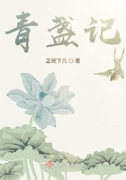 青盏记青盏记