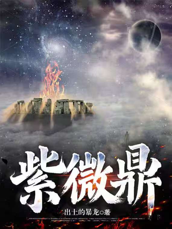紫微鼎紫微鼎
